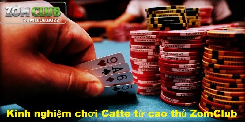 kinh nghiệm chơi bài catte Kinh nghiệm chơi Catte từ các cao thủ ZomClub